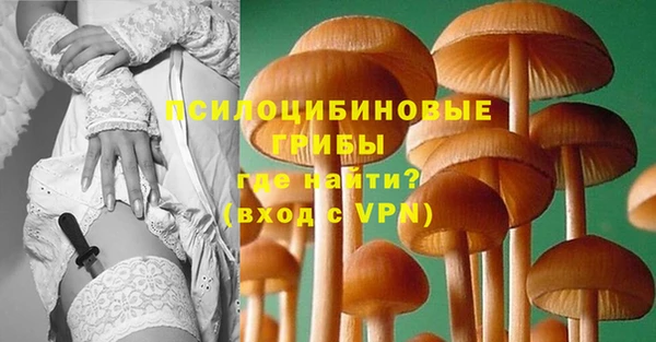 гашик Алзамай