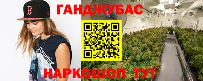 сатива Заводоуковск