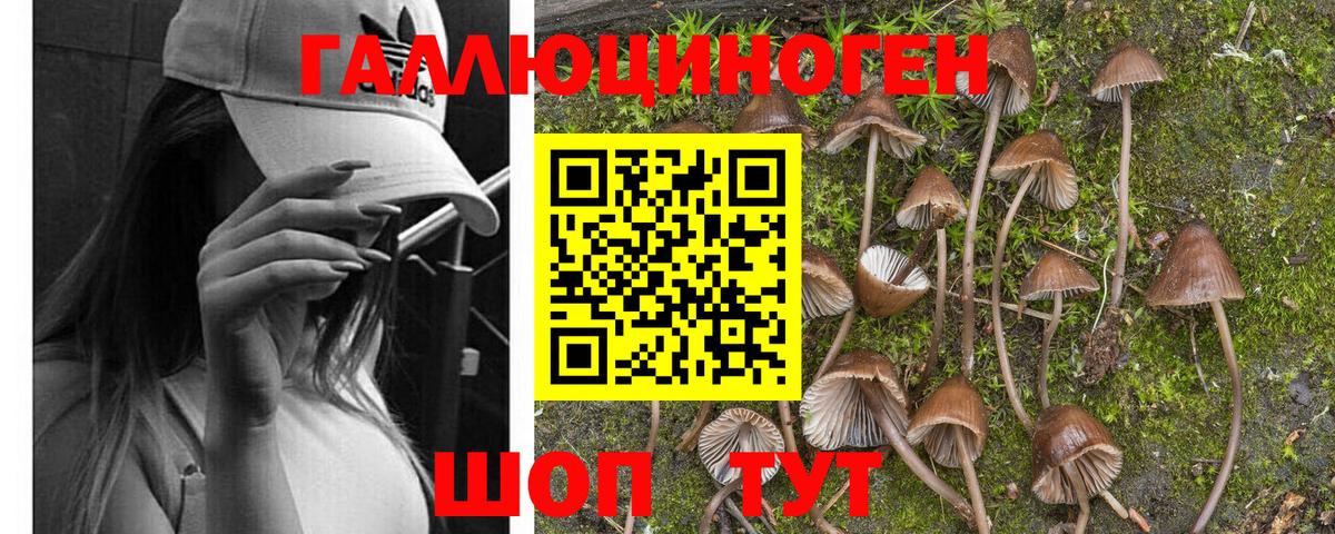 Галлюциногенные грибы GOLDEN TEACHER  Вход с VPN  Коряжма 