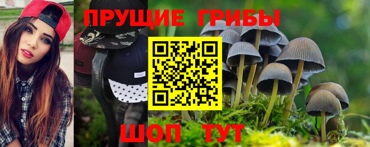 Псилоцибиновые грибы ЛСД Коряжма